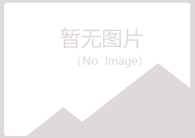 香港山柏化学有限公司